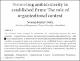 SD_Promoting Ambidexterity in Established Firms -  The Role of the Organizational Context.pdf.jpg